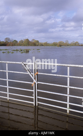 Campo allagato e hanno impedito il gate di metallo tra Pentre e Melverley, Shropshire nel mese di ottobre 2004 Foto Stock