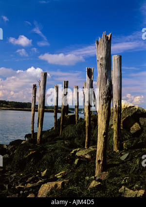 Resti di un antico molo sulla costa del New Hampshire USA che fa parte della Nuova Inghilterra seacoast verticale Foto Stock