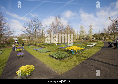 Letto di fiori con tulipani e giacinti in giardino Keukenhof, Paesi Bassi, Lisse Foto Stock