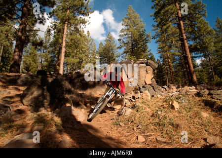 Un uomo in sella ad una mountain bike verso il basso a binario unico sentiero ad alta velocità Foto Stock