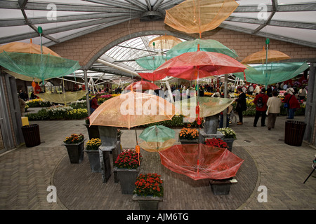 Fiori e ombrello in Keukenhof, Paesi Bassi, Lisse Foto Stock