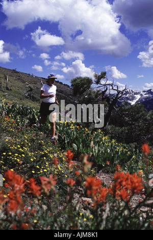 Una donna trail running sulla Pacific Crest Trail Foto Stock