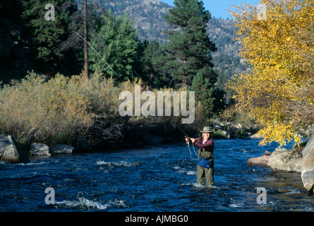 Donna di Pesca a Mosca Report di Pesca in mezzo autunno a colori nel grande Thompson River Rocky Mtns CO Foto Stock