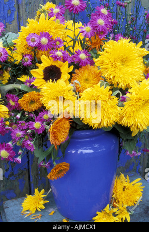 Vaso di singolo e doppio girasoli, Le calendule e gli astri. Foto Stock