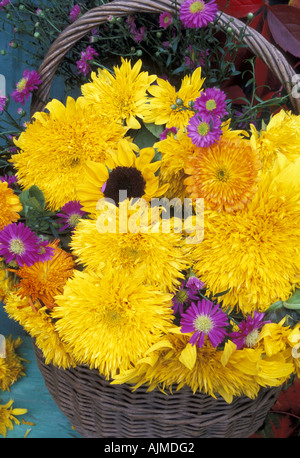 Estate Ancora la vita, cesto di vimini di singolo e doppio girasoli, Foto Stock