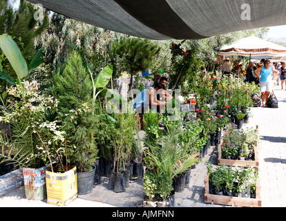 Bagno turco Pazar (Bazaar) mercato all'aperto della penisola di Bodrum Turchia Mugla spezie frutta dadi di semi di cotone vestiti merci vegetali di meloni Foto Stock