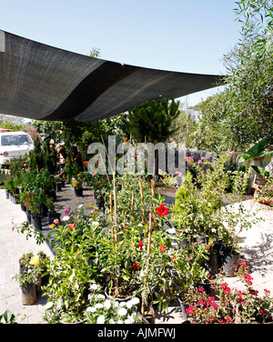 Bagno turco Pazar (Bazaar) mercato all'aperto della penisola di Bodrum Turchia Mugla spezie frutta dadi di semi di cotone vestiti merci vegetali di meloni Foto Stock