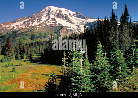 Elk254 4415 Washington Mt Rainier NP vista da sotto il paradiso Foto Stock