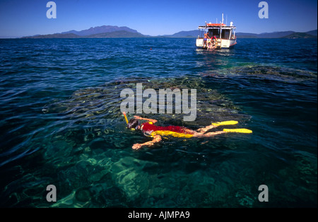Snorkeling, Hinchinbrook Island, in Australia Foto Stock