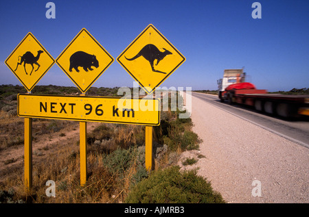 Animal Crossing cartello stradale, Australia Foto Stock