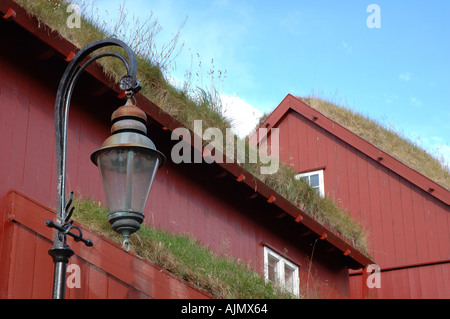 Turf edifici con tetti a Torshavn, Isole Faerøer Foto Stock