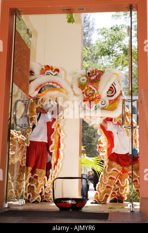 Il cinese malesi eseguire il sud della danza del Leone per il capodanno cinese. Batu Ferringhi, Isola di Penang, Malaysia. Foto Stock