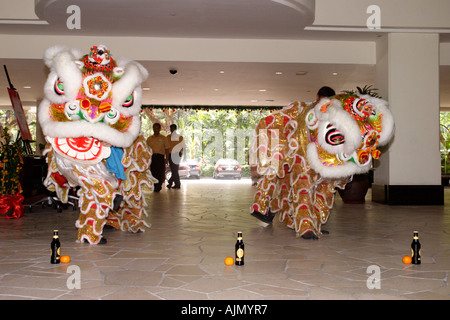 Il cinese malesi eseguire il sud della danza del Leone per il capodanno cinese. Batu Ferringhi, Isola di Penang, Malaysia. Foto Stock