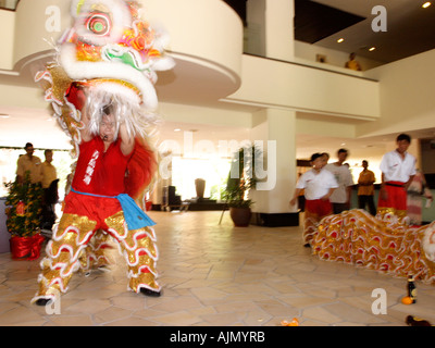 Il cinese malesi eseguire il sud della danza del Leone per il capodanno cinese. Batu Ferringhi, Isola di Penang, Malaysia. Foto Stock