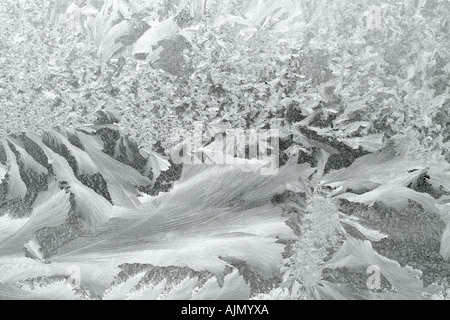 Modello di brina dettaglio sulla finestra Foto Stock