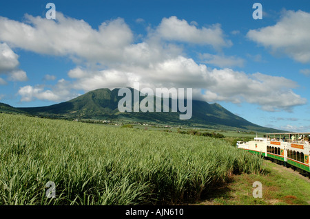 St Kitts Caribbean West Indies Scenic Railway o treno di zucchero i campi di zucchero di canna Mt Liamuiga Foto Stock