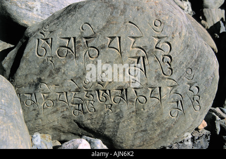 Mantra buddista e sacre scritture su stonee nei dintorni Chame Annapurna Conservation Area Nepal Foto Stock