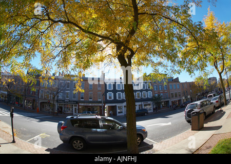 Genesee Street in Skaneateles New York Stati Uniti Foto Stock