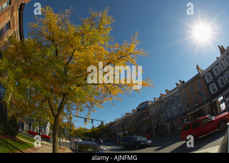 Genesee Street in Skaneateles New York Stati Uniti Foto Stock