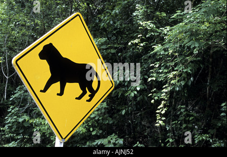 Giaguari sulla strada segno di avvertimento Tikal Guatemala Foto Stock