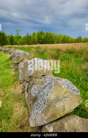 Comunità Formonthills Woodland Glenrothes Foto Stock