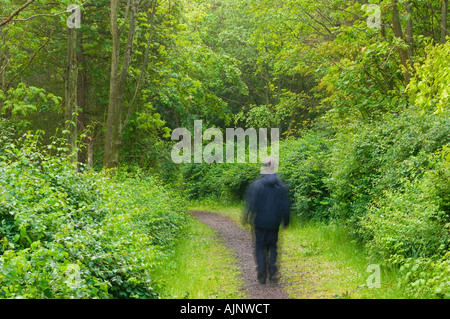 Comunità Formonthills Woodland Glenrothes Foto Stock