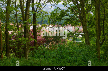 Comunità Formonthills Woodland Glenrothes Foto Stock