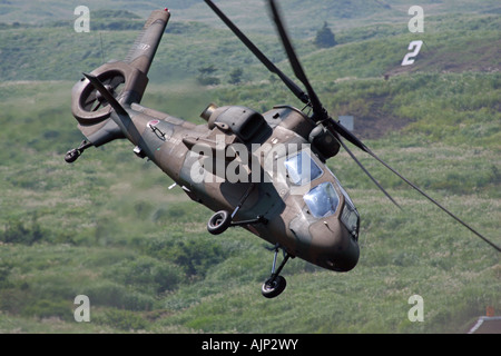 Kawasaki OH-1 elicottero ricognizione della massa Giappone Self Defence Force Foto Stock