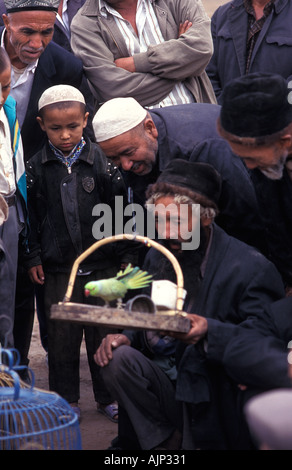 L'uomo vendita di variopinti uccelli tropicali a Kashgar mercato spettatori curiosi folla round Karakoram Highway Cina Foto Stock
