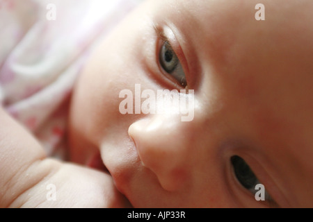 Ritratto di bambina di pochi mesi di età Foto Stock