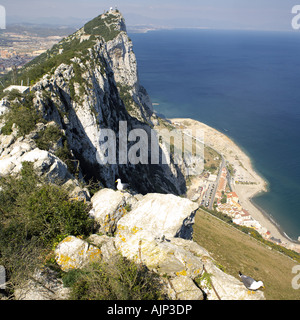 Il vertice della Rocca di Gibilterra vertice più alto punto guardando giù in città Riserva Naturale della Rocca Superiore Gibilterra in Europa Foto Stock