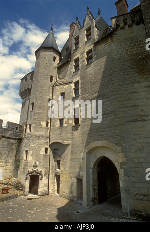 Chateau de langeais, langeais chateau, chateau francese, il castello medievale, museo, città di Langeais, langeais, Valle della Loira, Indre-et-Loire, Francia Foto Stock