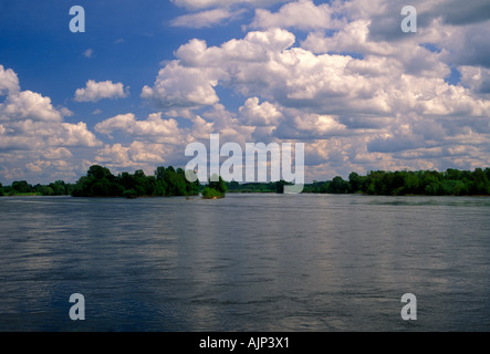 Fiume Loira, vicino alla città di Langeais, Valle della Loira, Indre-et-Loire, Regione centrale, Francia, Europa Foto Stock