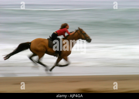 Un cavallo e cavaliere correre liberamente su una spiaggia della California Foto Stock