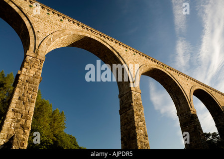 Lambley Viadotto sul fiume South Tyne Northumberland Inghilterra Foto Stock