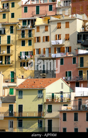 Le variopinte facciate delle case nel borgo di Manarola, Cinque Terre (Italia) Foto Stock