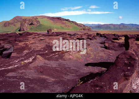 Paesaggio dyrholaey costa sud estate Islanda Foto Stock