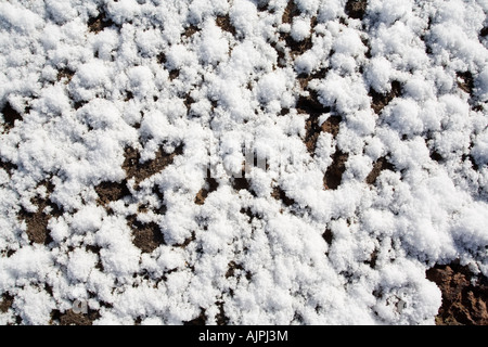 Close up di cristalli di neve Foto Stock