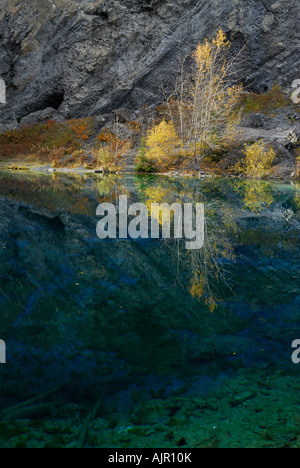 Giallo Aspen lascia riflessa nell'Indigo Blue Waters Grassi laghi di montagna di Rundle Oriente Kananaskis paese Montagne Rocciose Canmore Alberta Canada Foto Stock