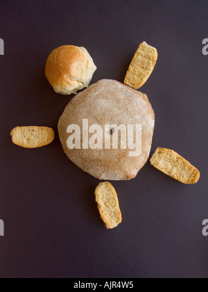 Composizione di differenti tipi di pane formando una tartaruga Foto Stock