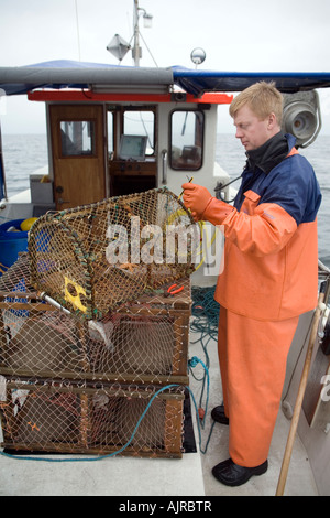 La raccolta di aragosta. Pescatore su una barca in eseguire la preparazione di lobster trap. Kattegat, mare ad ovest della costa svedese, Europa Foto Stock