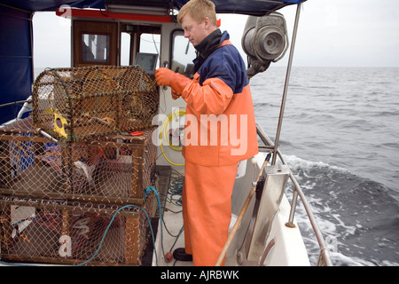 Pescatore su una barca in eseguire la preparazione di lobster trap. Kattegat, mare ad ovest della costa svedese, Europa Foto Stock