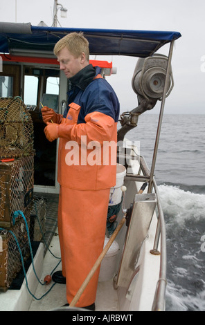 Pescatore su una barca in eseguire la preparazione di lobster trap. Kattegat, mare ad ovest della costa svedese, Europa Foto Stock