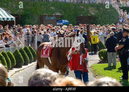 Corsa di cavalli Paddock Parade Foto Stock