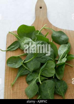 Giovani foglie di spinaci su tavola di legno - fascia alta Hasselblad 61mb di immagine digitale Foto Stock