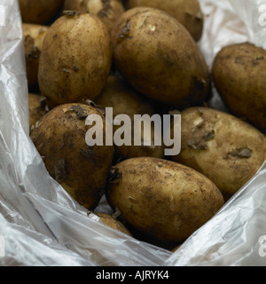 Patate in busta di plastica Foto Stock