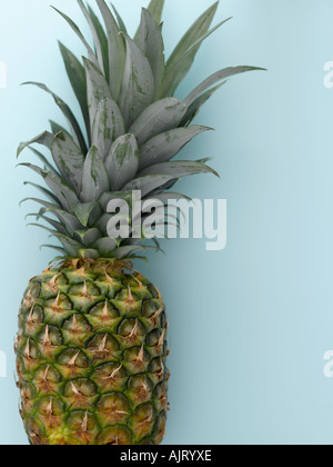 Ananas su fondo azzurro - fascia alta Hasselblad 61mb di immagine digitale Foto Stock