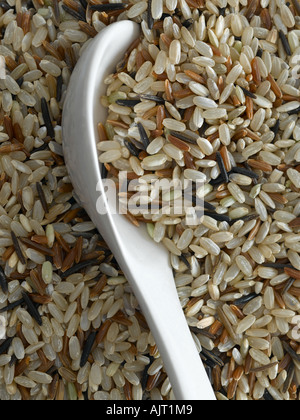 Misto di riso integrali - fascia alta Hasselblad 61mb di immagine digitale Foto Stock