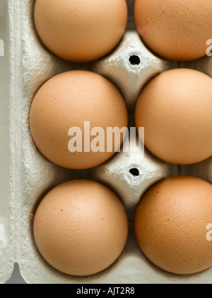 Scatola di cartone di uova - fascia alta Hasselblad 61mb di immagine digitale Foto Stock