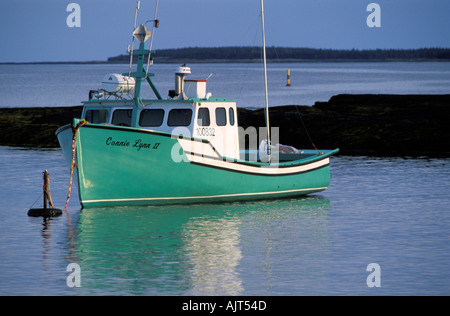 Colorate barche da pesca che riflette nella luce della sera. Rocce blu villaggio di pescatori nei pressi di Lunenburg, Nova Scotia, Canada Foto Stock